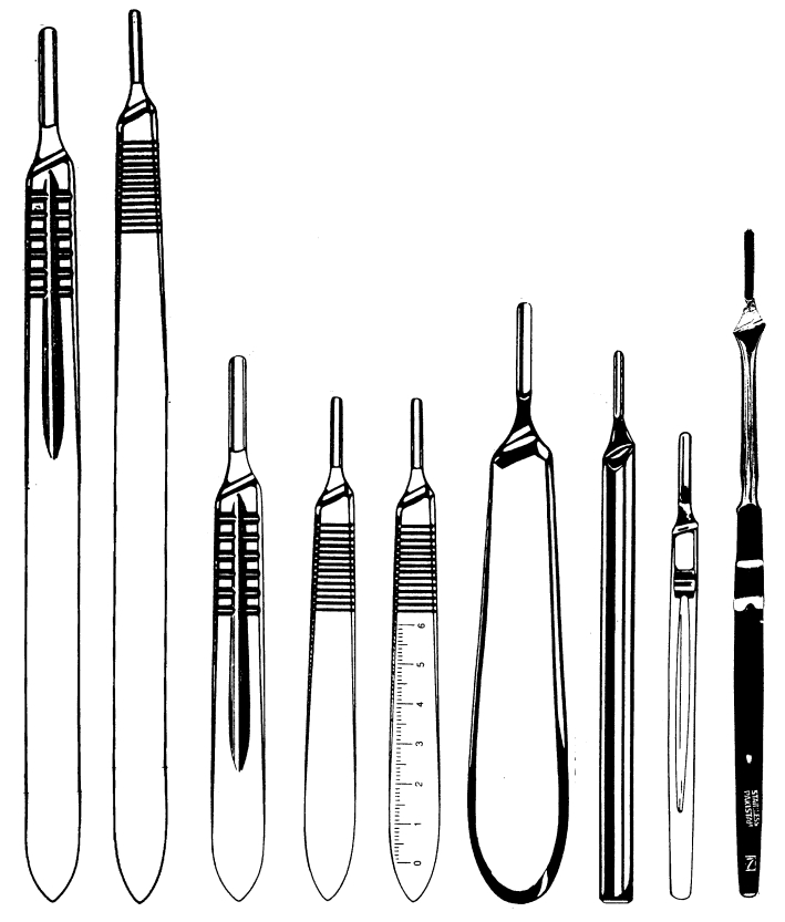 Animal Nursing Common Instruments Part 3 Flashcards Easy Notecards